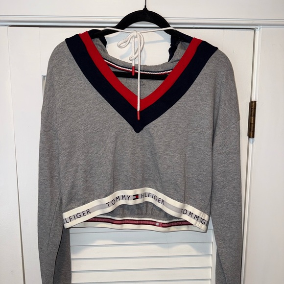 Tommy Hilfiger Gray V-Neck Sweater with Red and Navy Accents - Picture 1 of 7